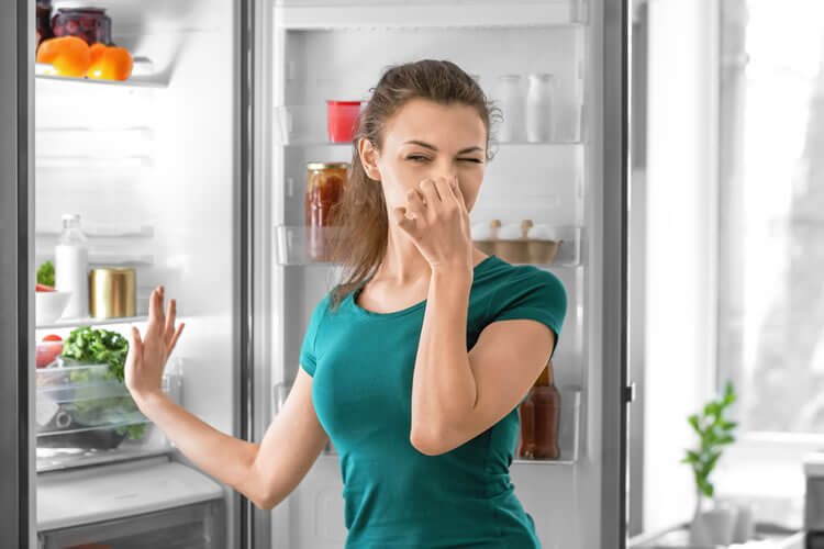 Unangenehmer Geruch aus dem Kühlschrank